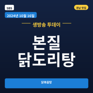본질 닭도리탕
