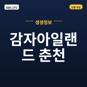 감자아일랜드 춘천